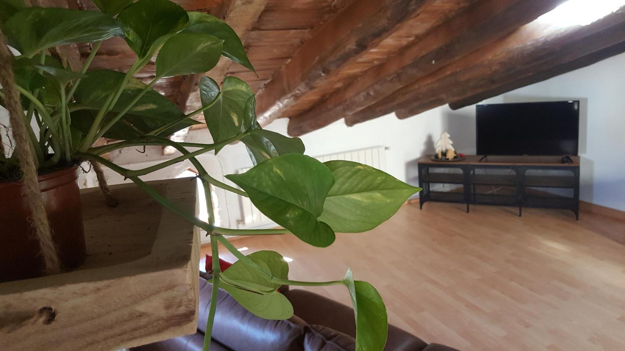 Espai Abadia Argentera 部屋 写真